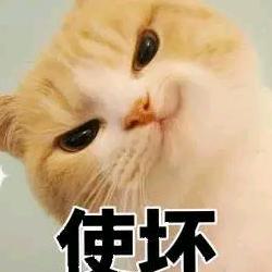 明天的明天