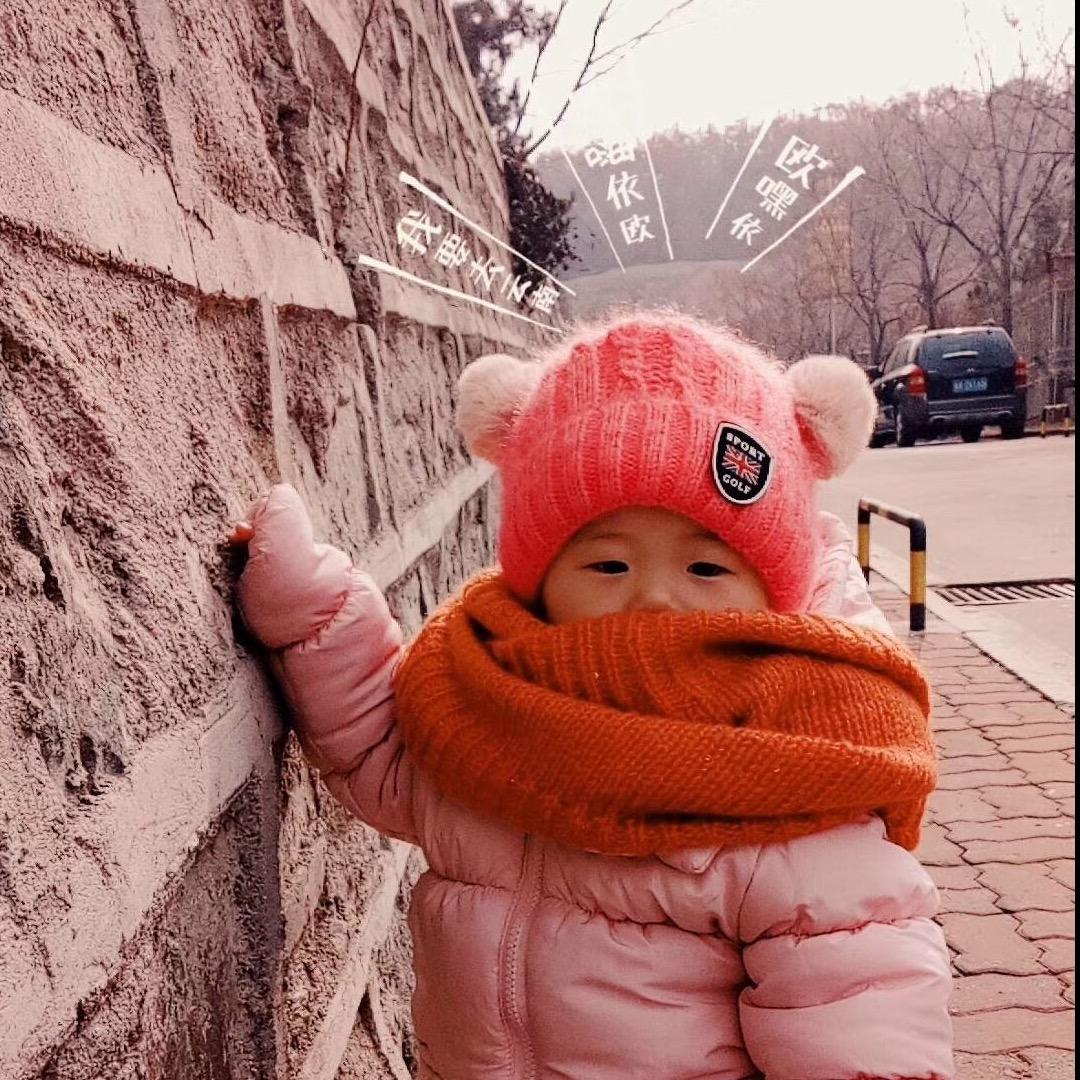 张导