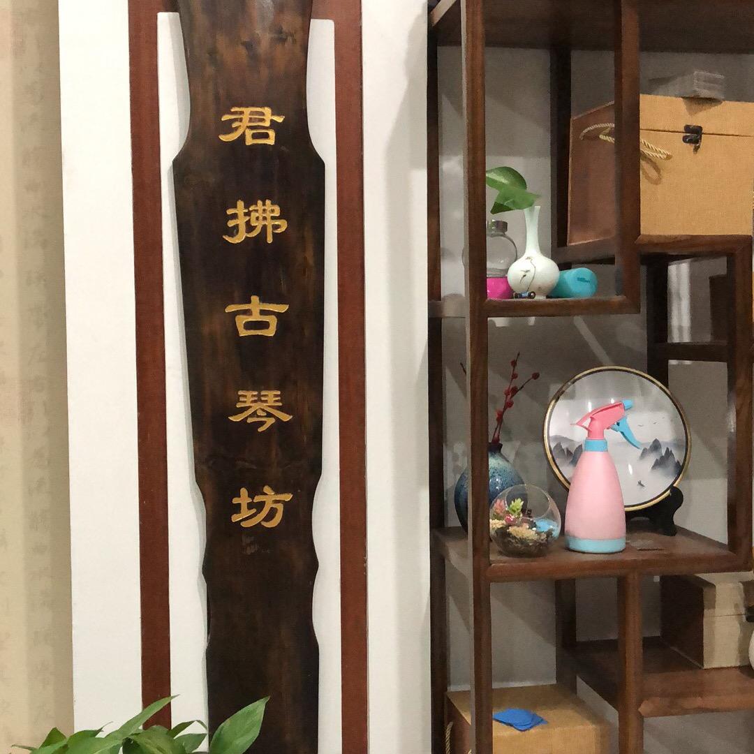 君拂古琴～沙晓慧