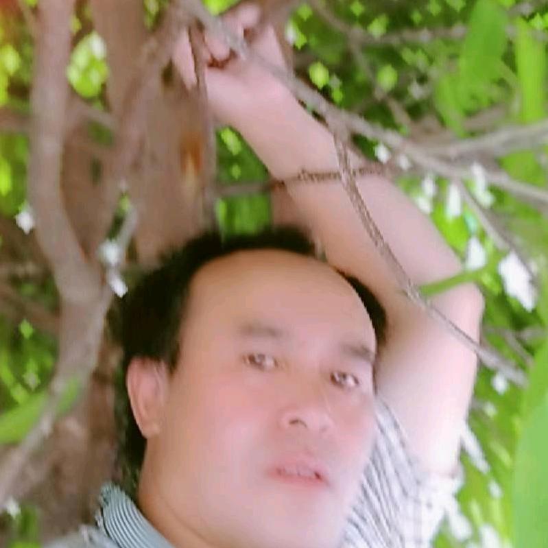 🌺天天富贵🌺