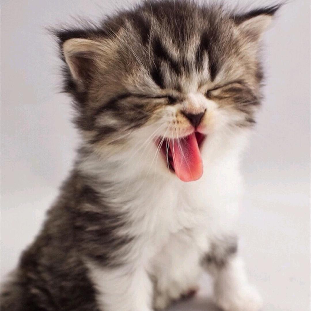 ヾ ^_^♪