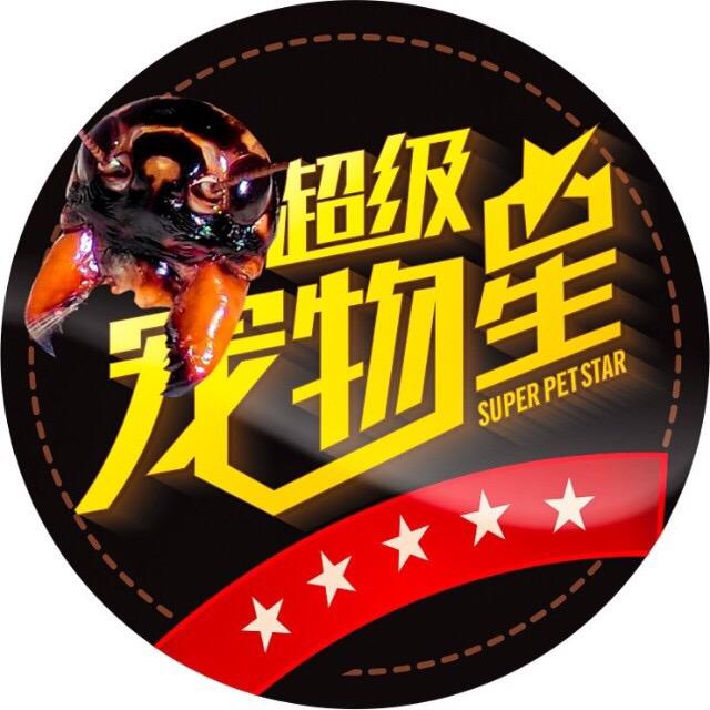 超级宠物星蟋蟀号