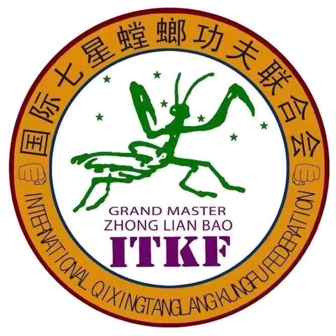 烟台七星螳螂拳