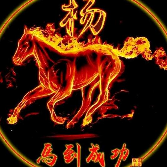 扬帆起航，