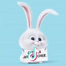 弟弟的弟弟叫福宝