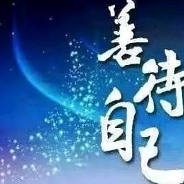 飞儿