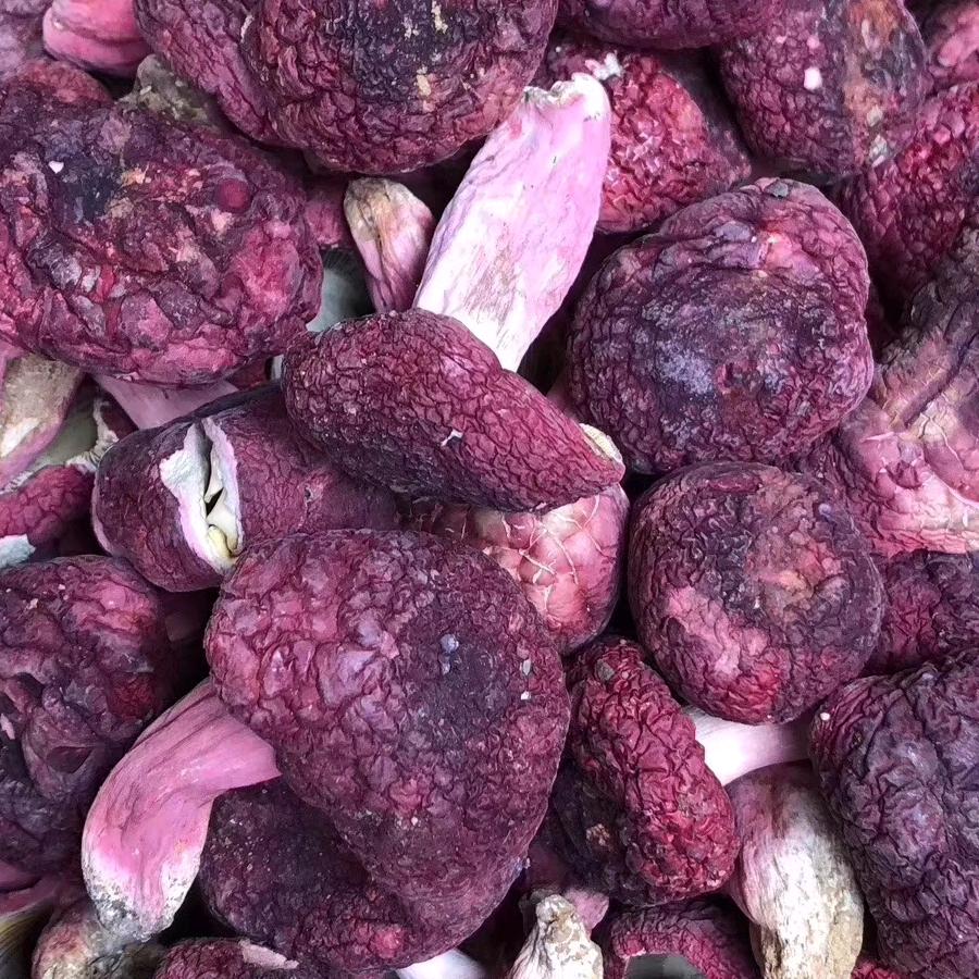 阳光干货（拒绝连赞）