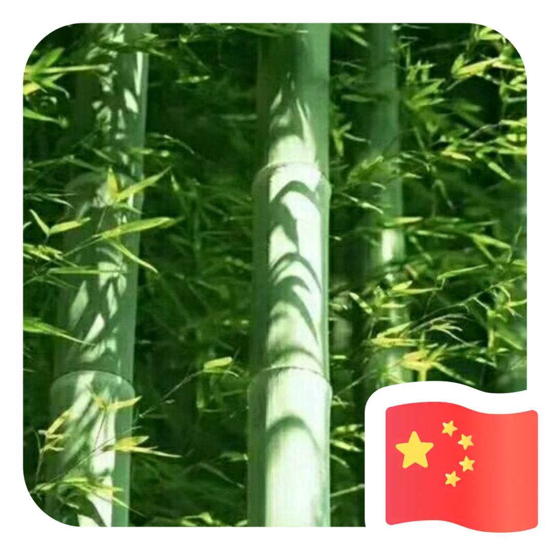 竹子