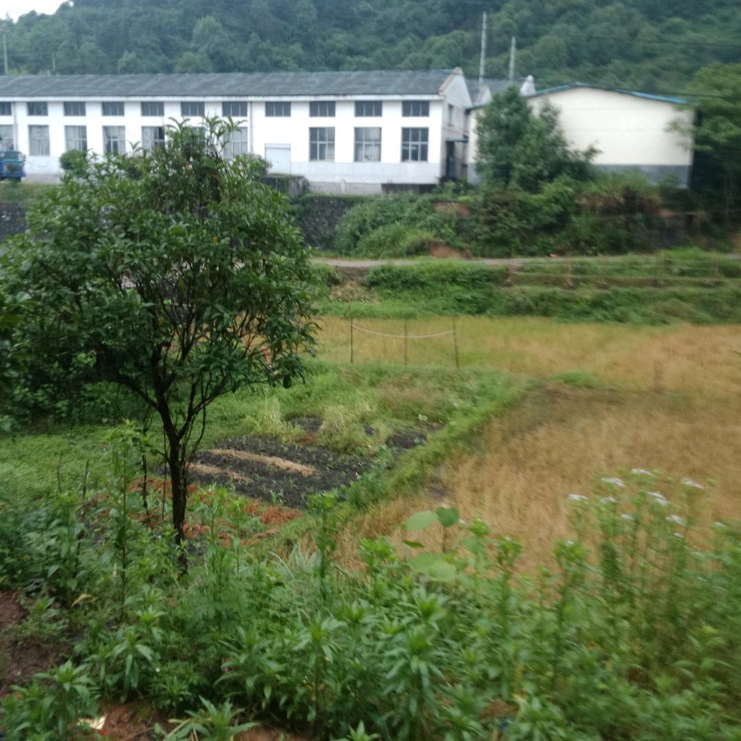 梦太美(拒绝合拍)(点赞必回)