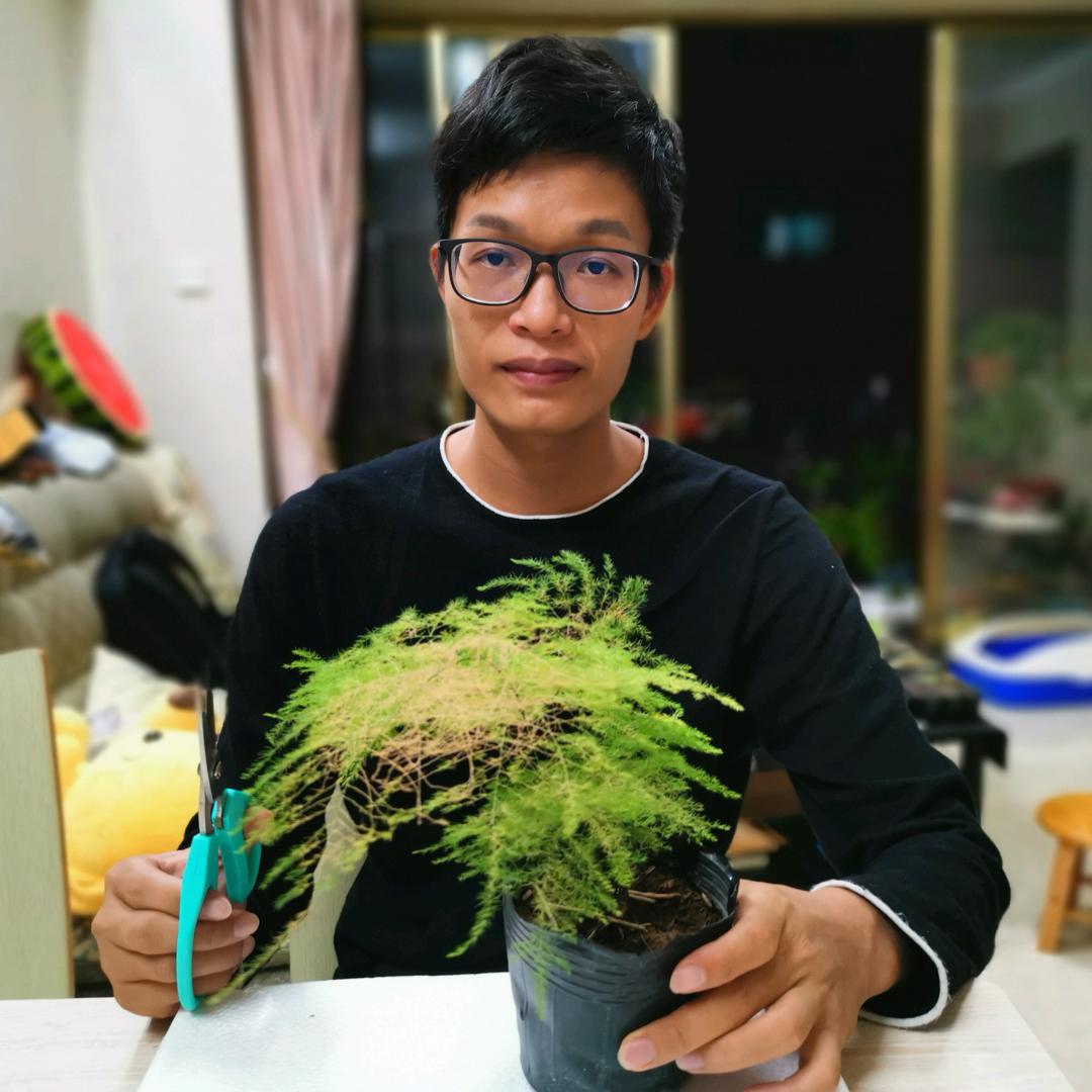 养花交流