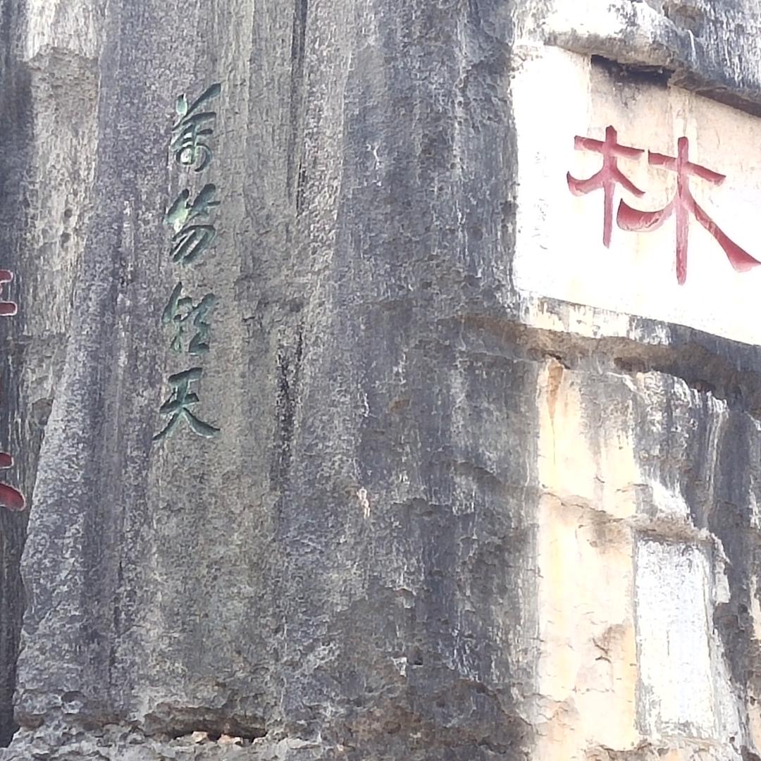 拼搏《￥》
