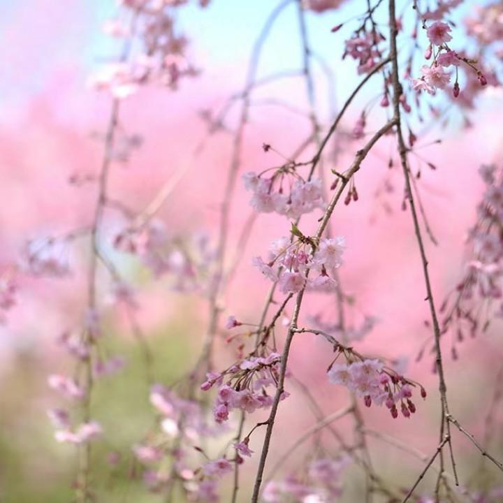 你若安好我便是晴天