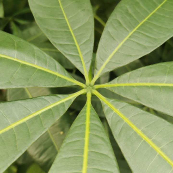 运昌
