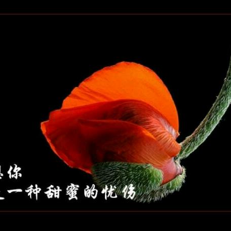 相见恨晚
