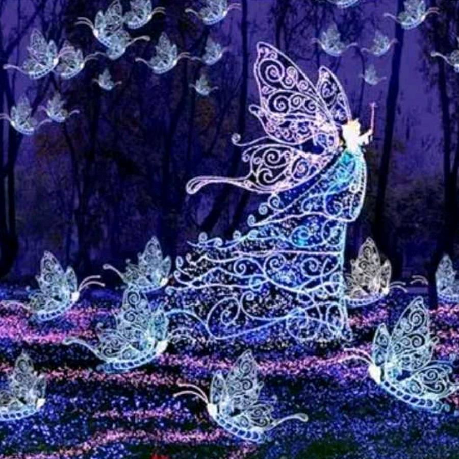 用户934116李家王朝