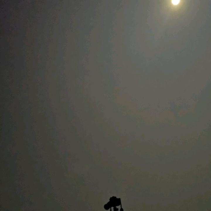 雨中的程序猿