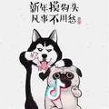 导播