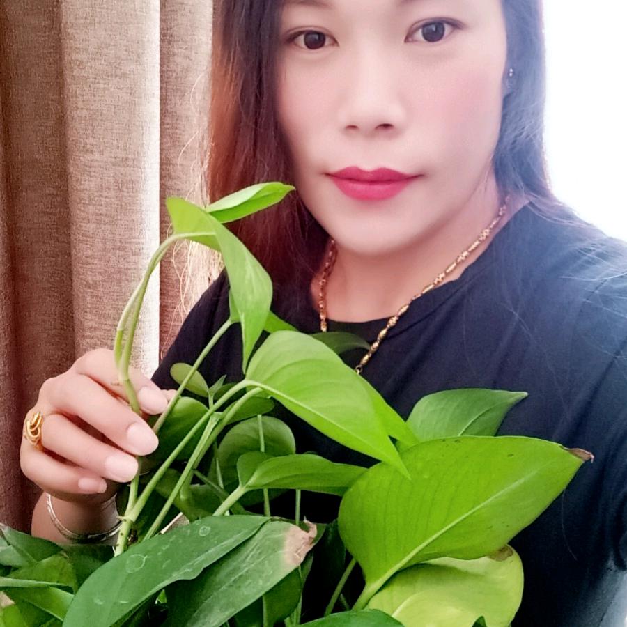 小欧