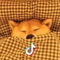 求抽中我一次