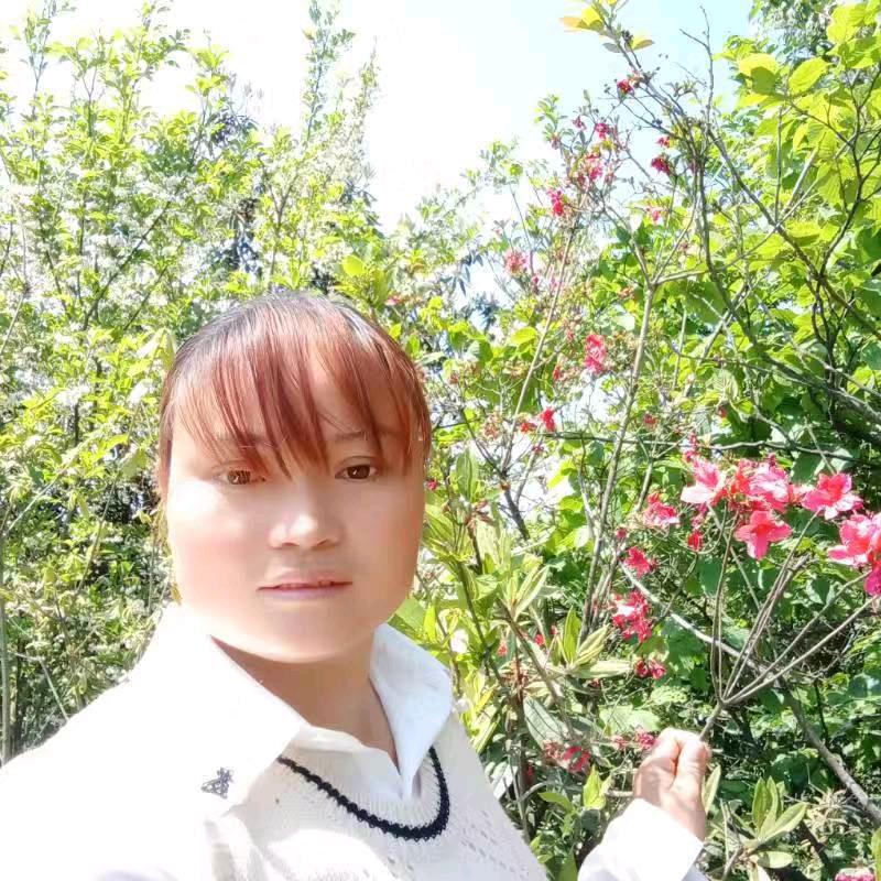 你好  @郭
