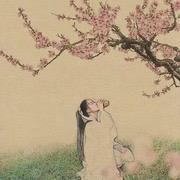 宸曦