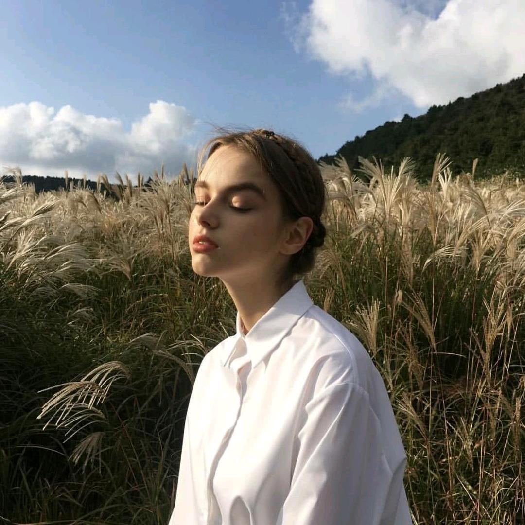 小马(三角洲行动)