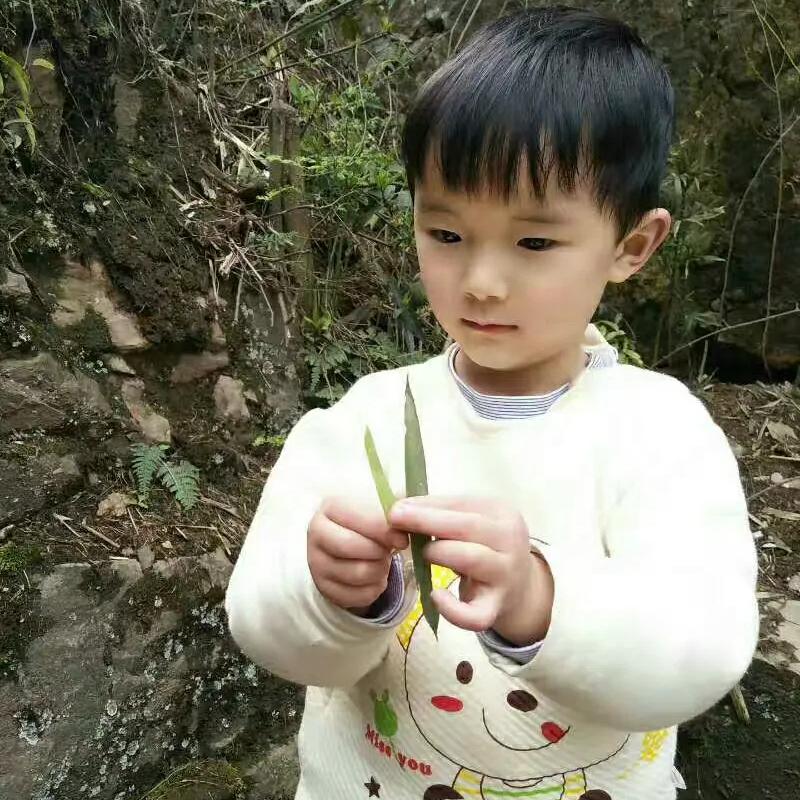 三叶草等25.6万人