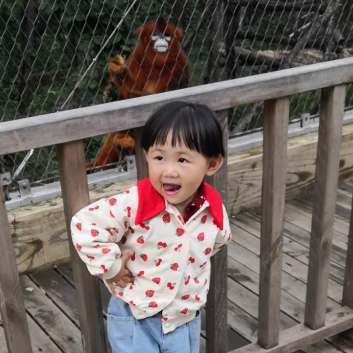 路易十七