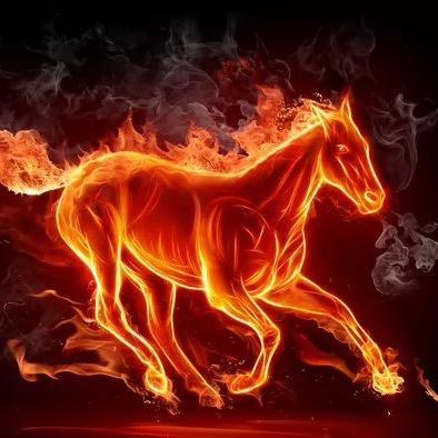 @心存阳光 爱分享