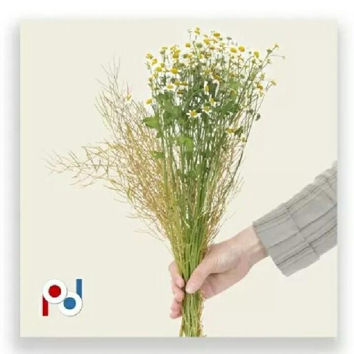 我把异乡当故乡