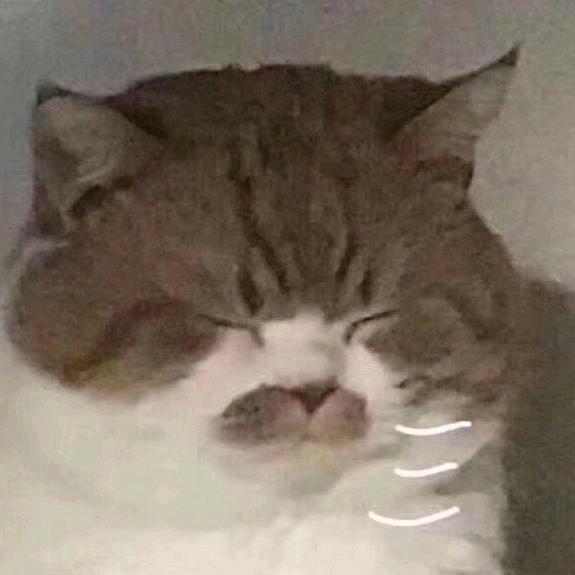 随便看看
