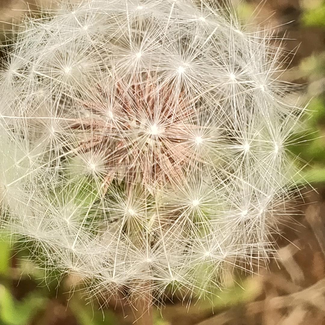 随机设置