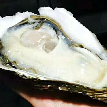 最爱生蚝