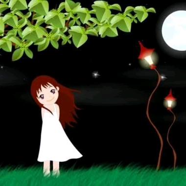 景迈山古树茶林