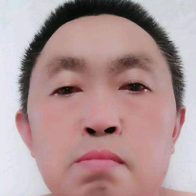 弘农杨氏