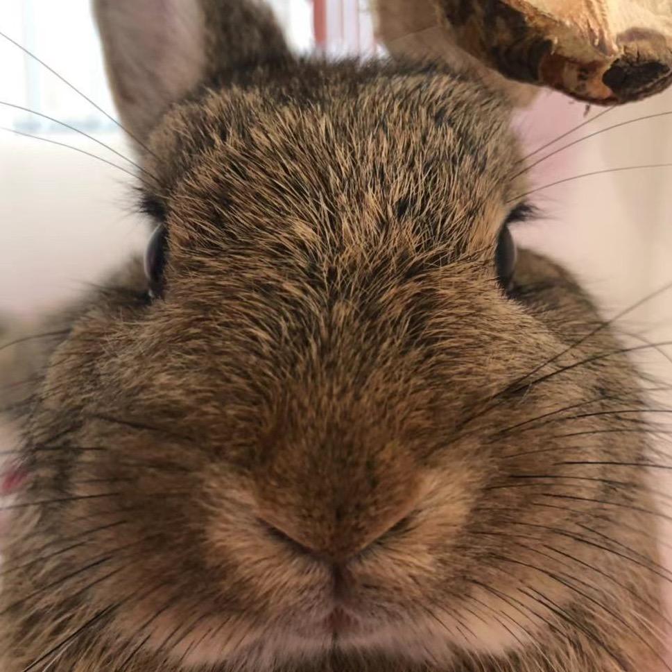 王美丽の衣食父母