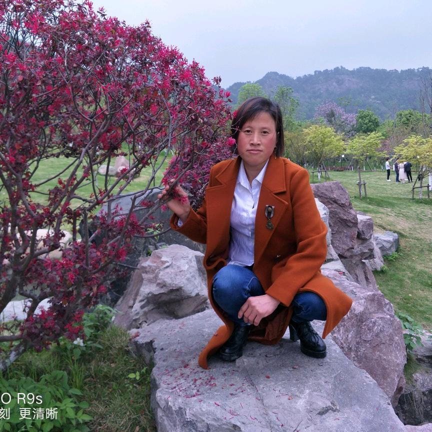 梧桐细雨🇨🇳