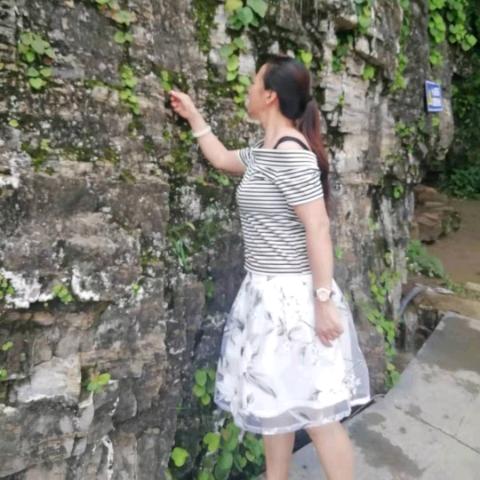 巧克力面包
