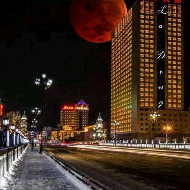 红树叶