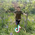 八月桂花香