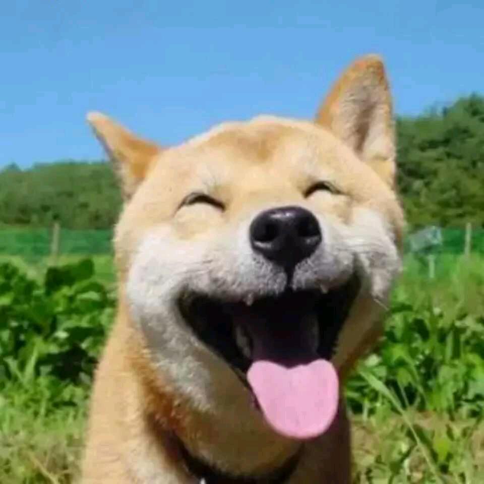 hey