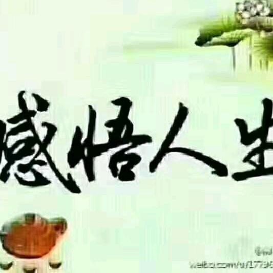 低调的旋律