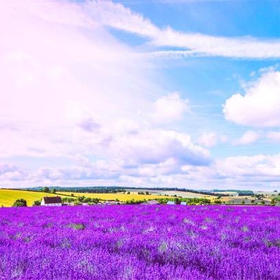 (ง •̀_•́)ง加油