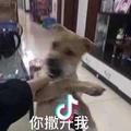 隔壁村的