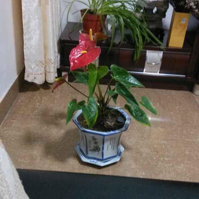 全福元购物中心开心