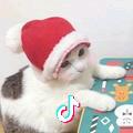 要优雅✔不要污