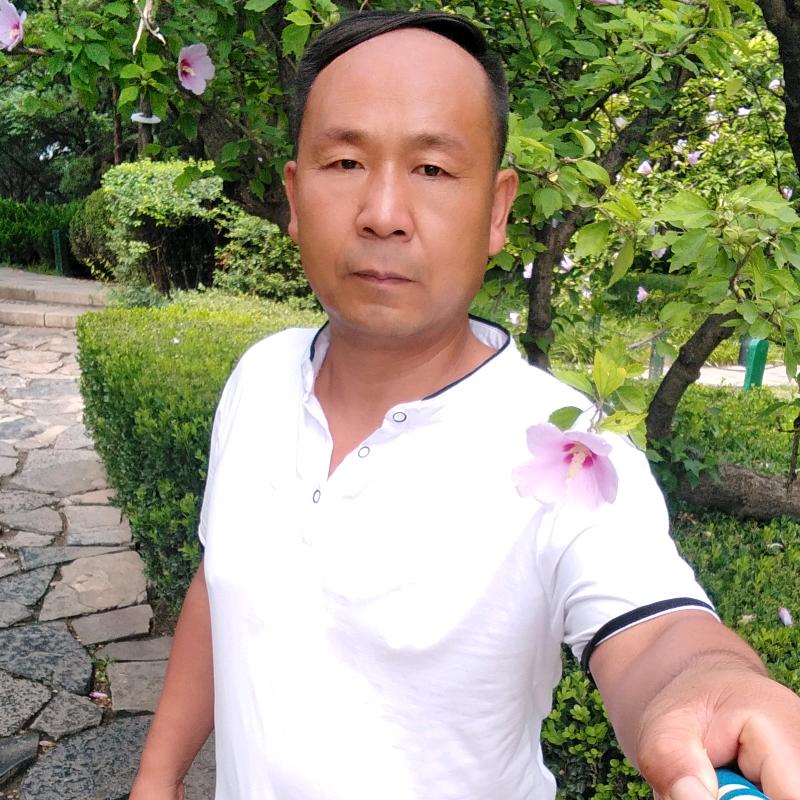 欣赏历程