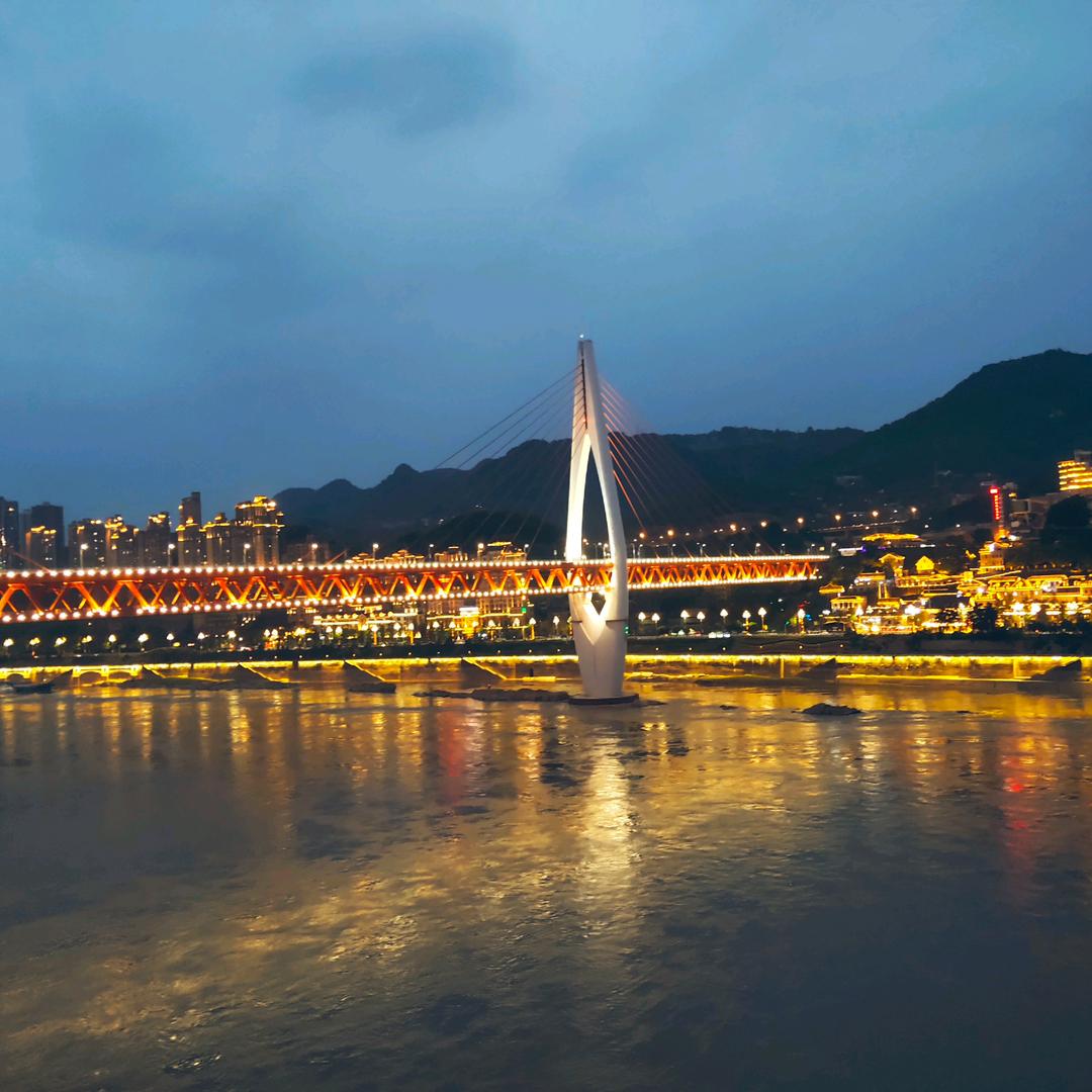 __貓有九條命唯有一顆心