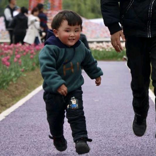 龙🐉的传人