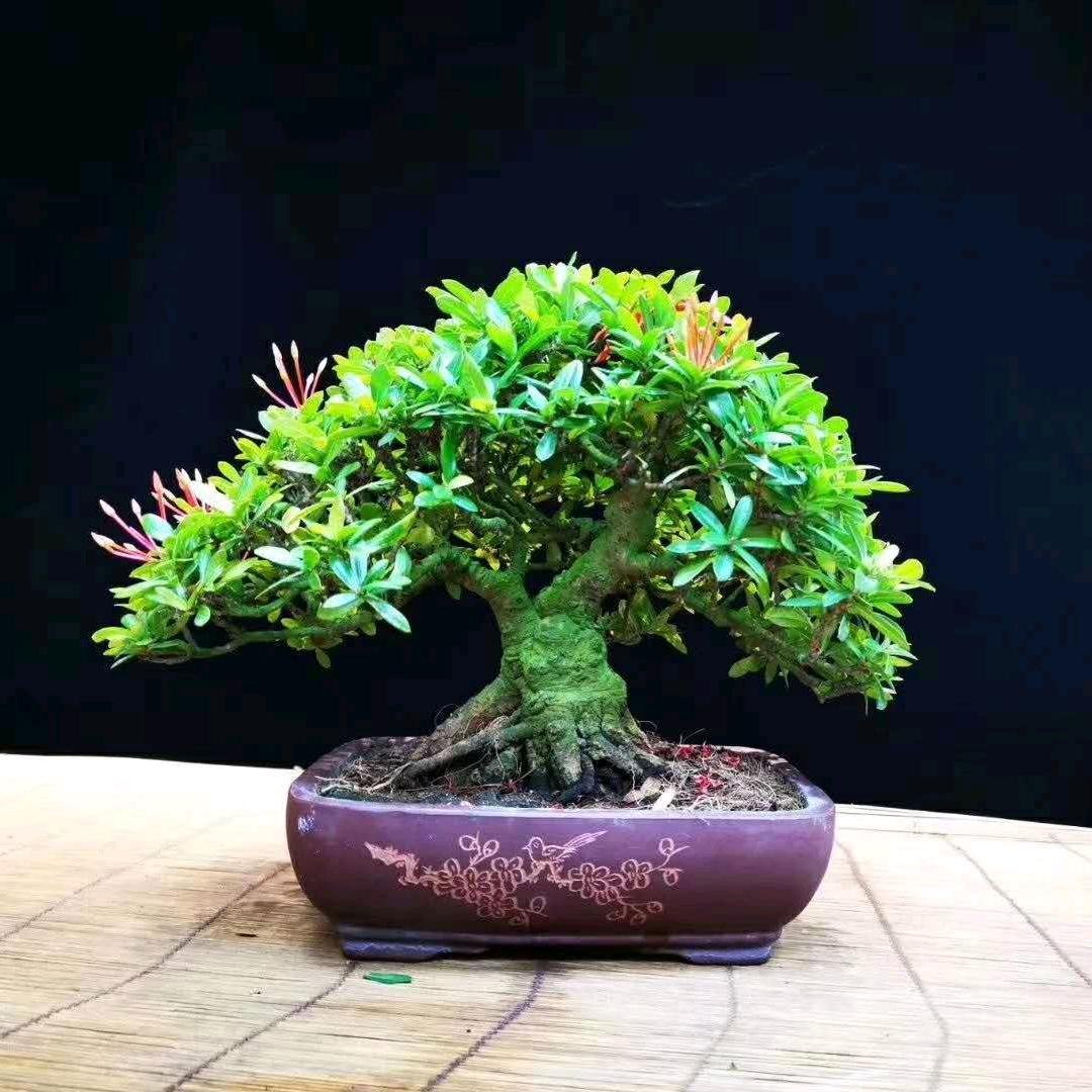 韧